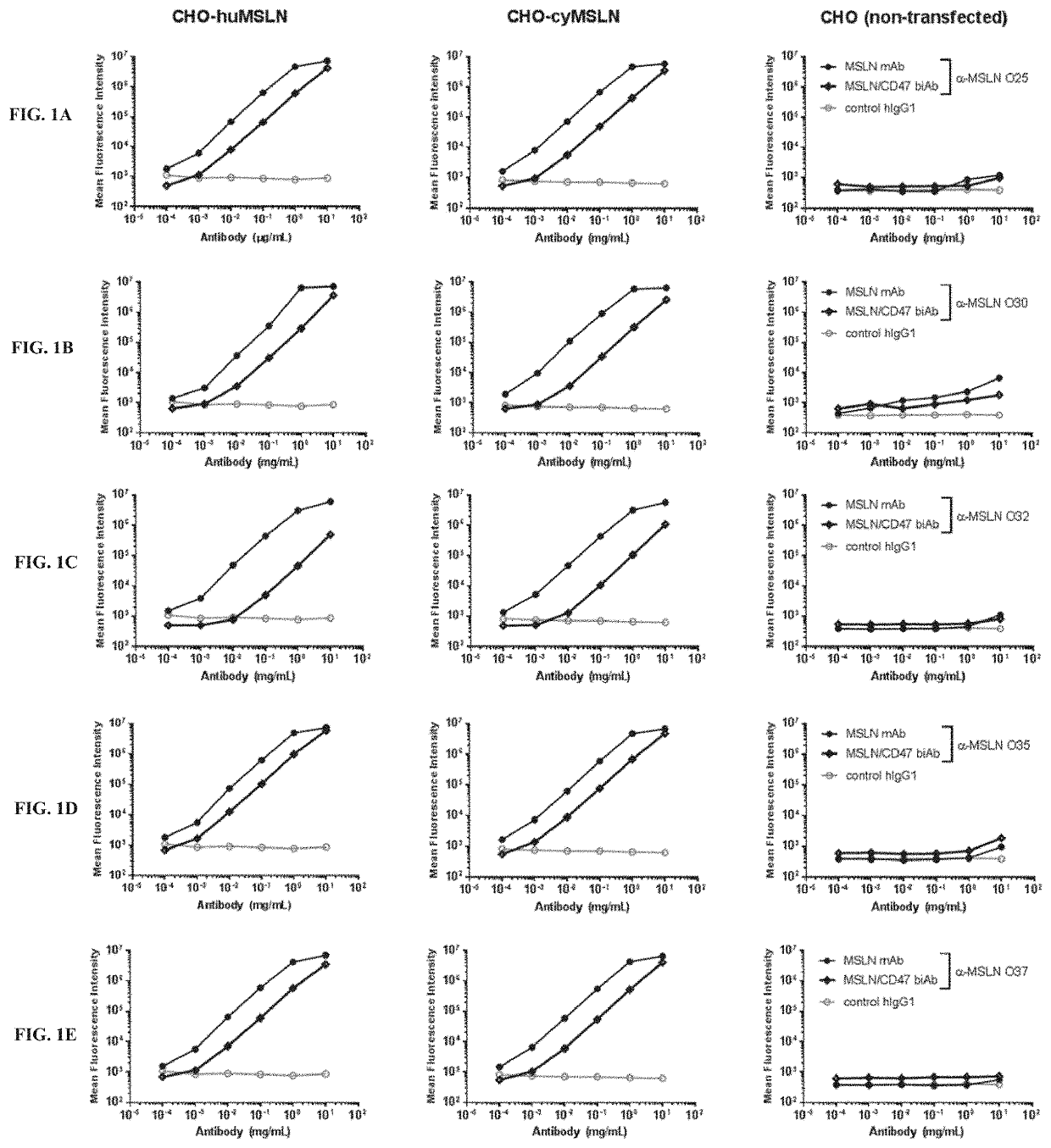 Anti-CD47 x anti-mesothelin antibodies and methods of use thereof