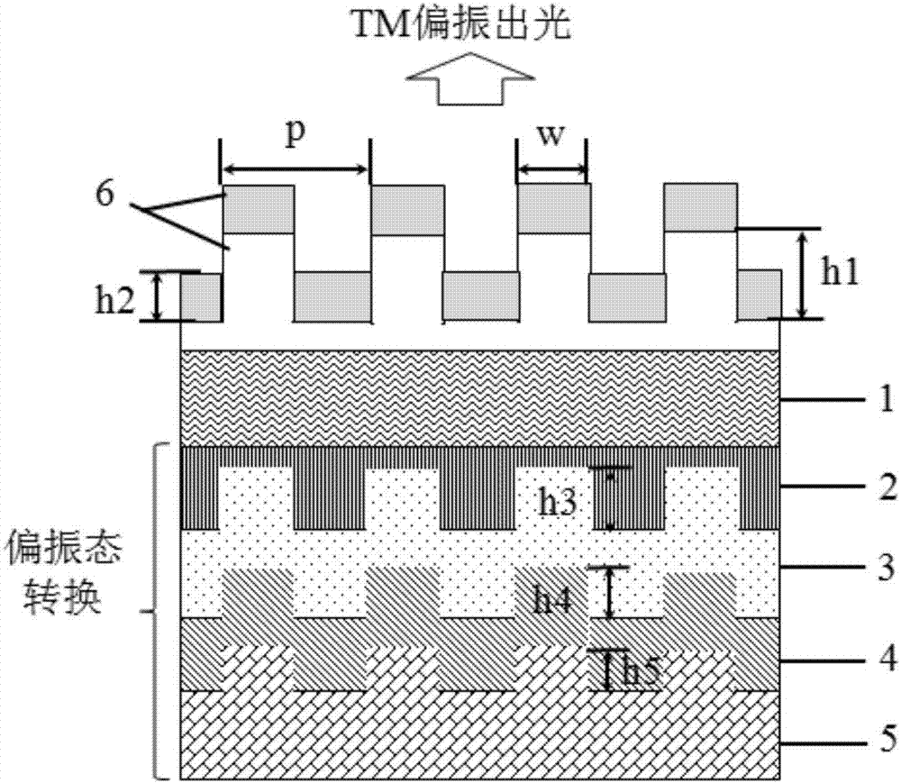 Organic light-emitting diode with linearly polarized emission