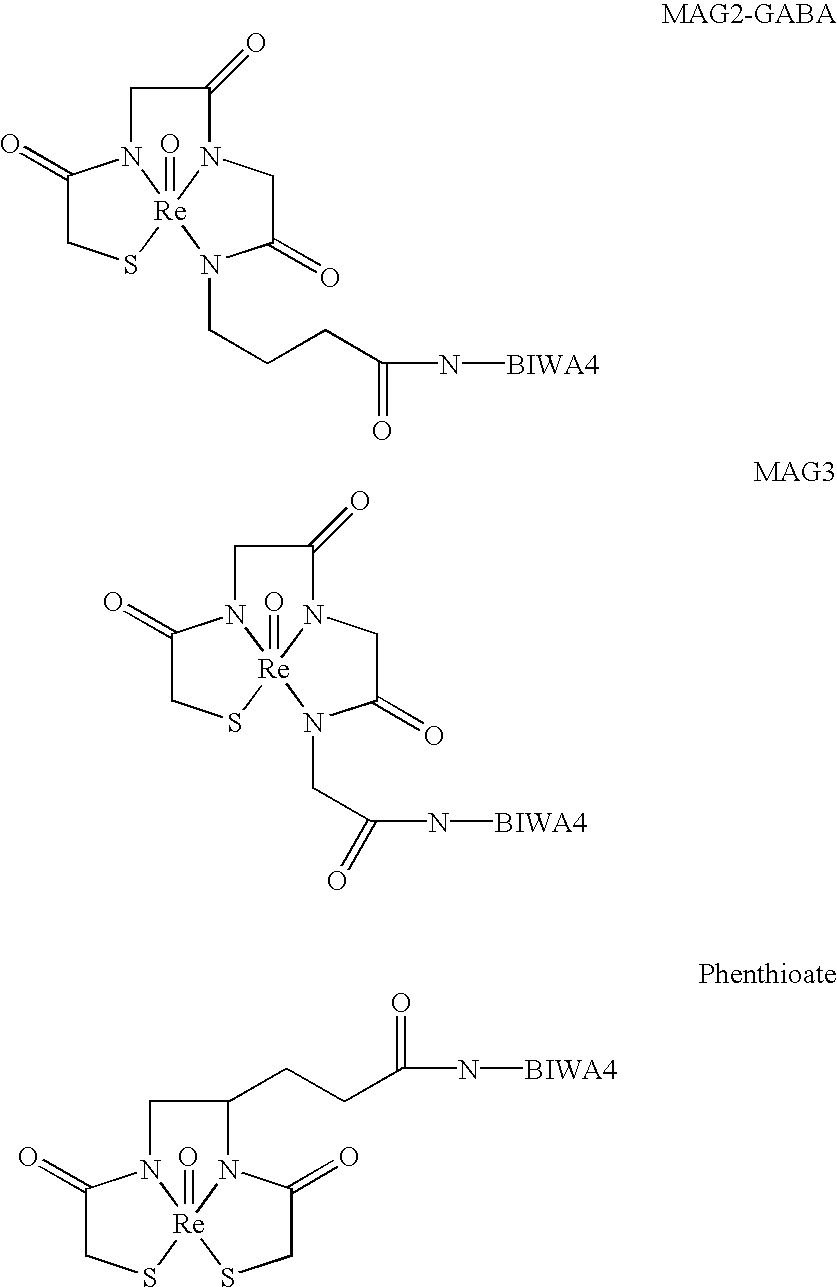 Antibodies specific for CD44v6