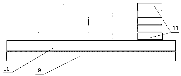 A kind of mechanical encapsulation and preservation method of Galla galla migratory aphid