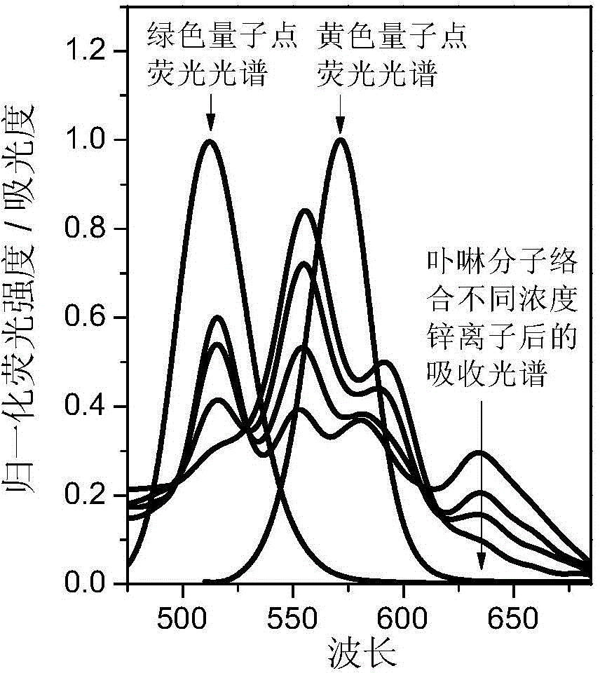 Quantum dot rate fluorescence probe for zinc ion detection and detection method of quantum dot rate fluorescence probe