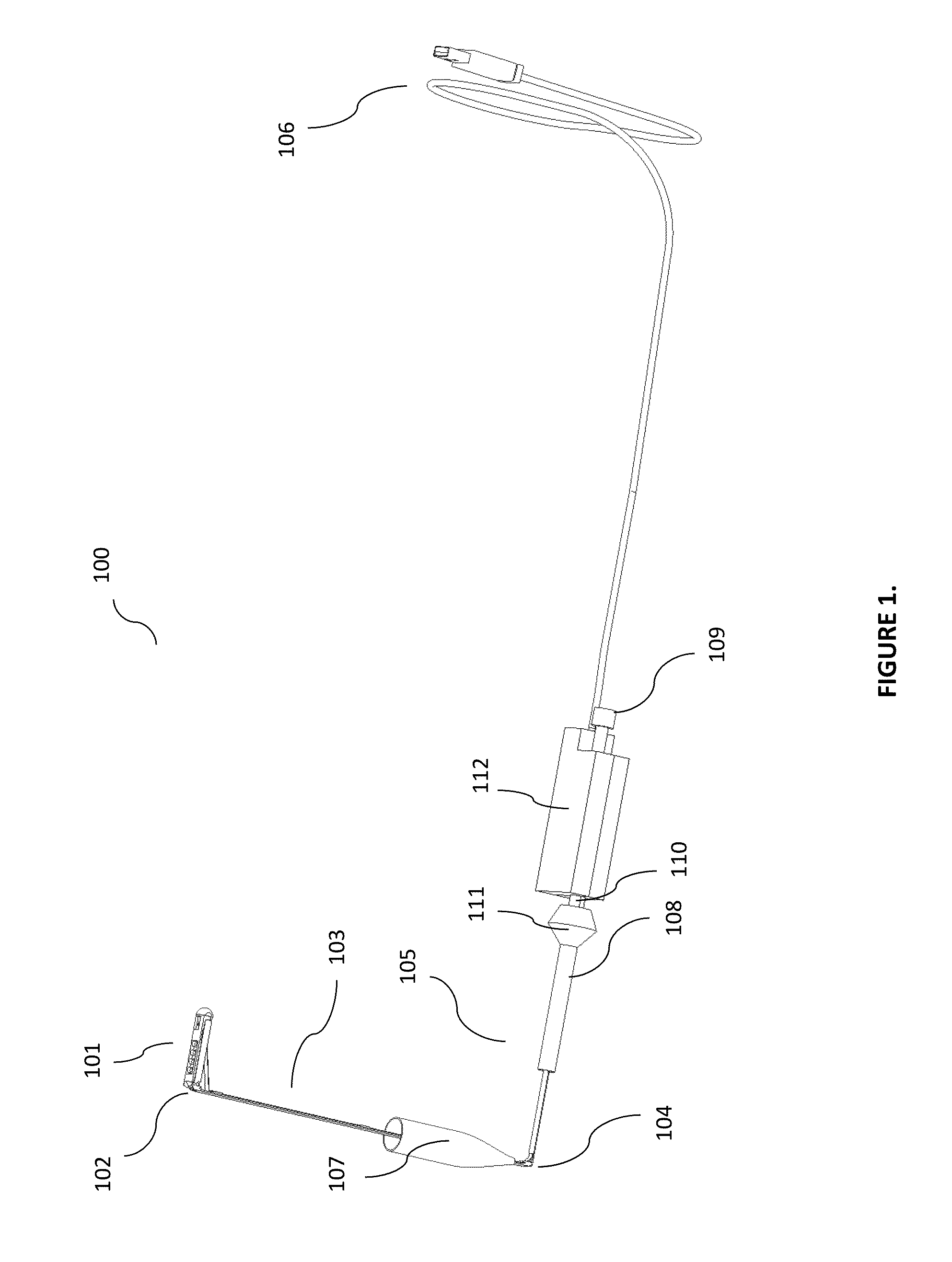 Single-use, port deployable articulating endoscope