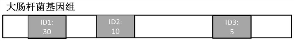 The method and application of judging background introduced microbial sequence