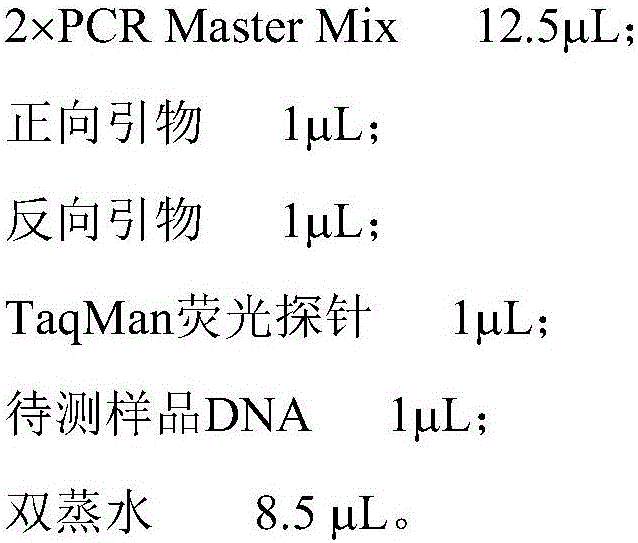 Real-time fluorescent quantitative PCR (polymerase chain reaction) identification reagent kit and identification method for bird's nest products