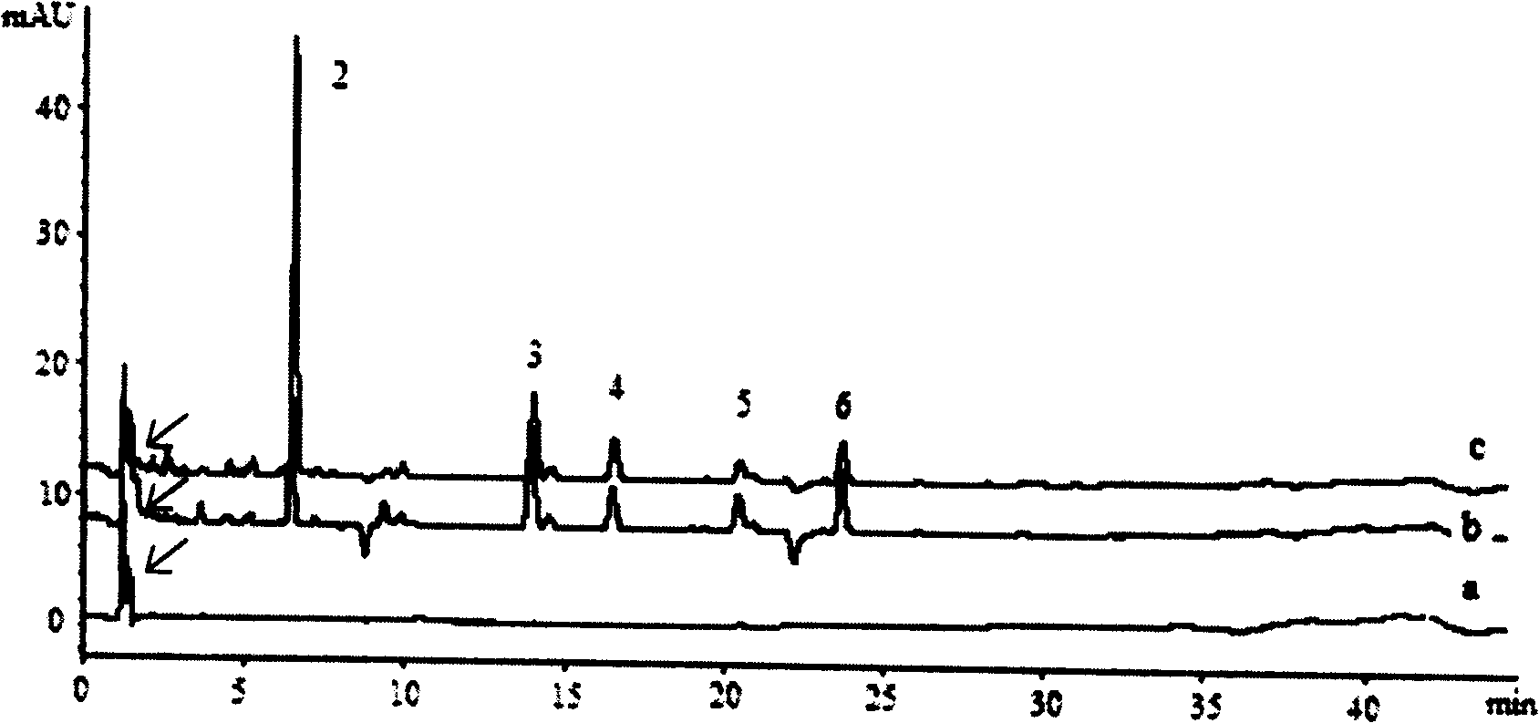 Setting-up method for cell membrance solid phase chromatography model for sieving Chinese medicine platelet aggregation resisting active component