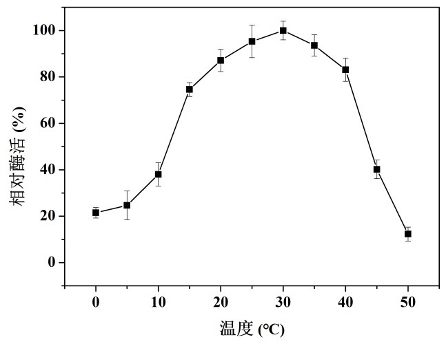 A cold-adapting ribonuclease r and its encoding gene and application