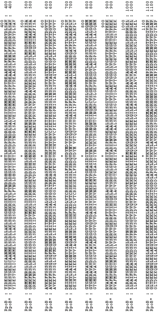 Recombinant escherichia coli with high osmotic pressure resistance and application thereof