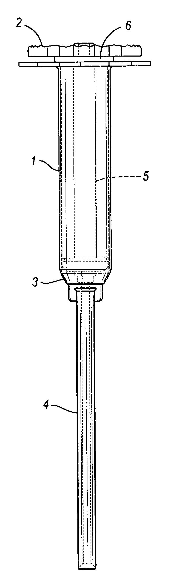 Cannulated injection system