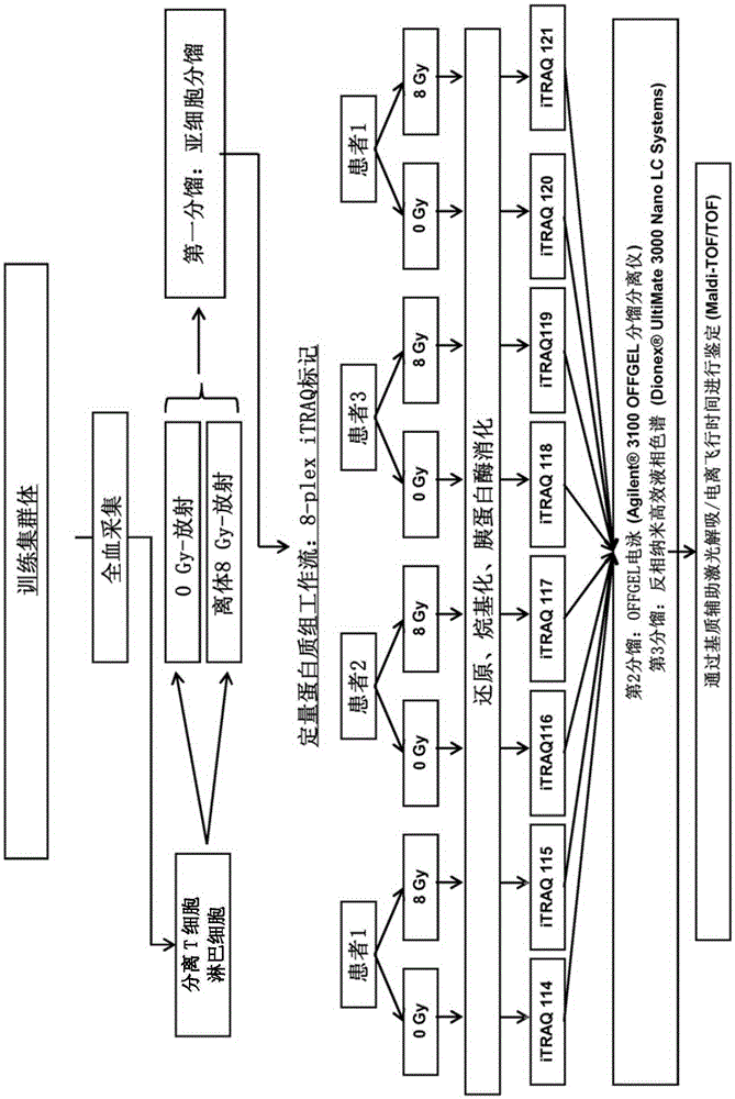 Method for determining radiosensitivity