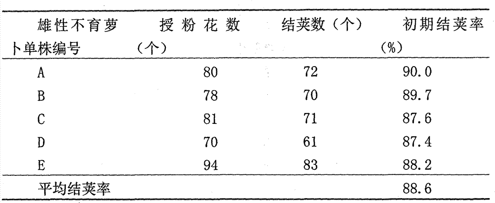 Method for achieving isolated embryos through radish and turnip intergeneric distant hybridization