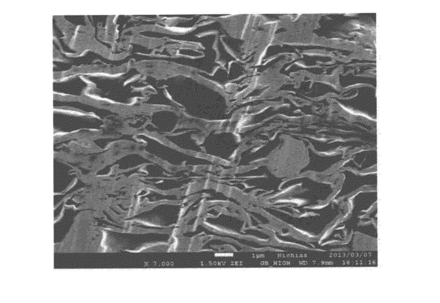 Sheet composed of exfoliated clay mineral and method for producing same