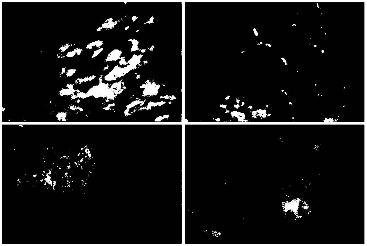 Preparation method and application of chlorosulfonated polyethylene-based cation exchange membrane for diffusion dialysis