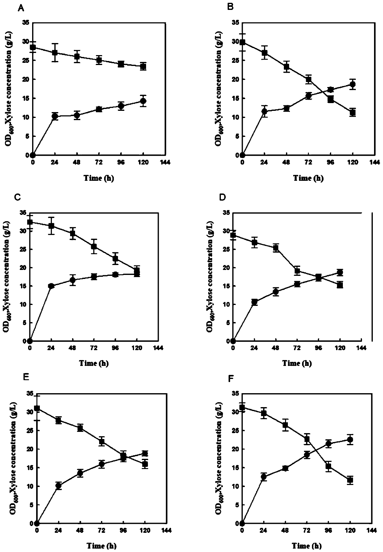 Xylose utilization yeast and application thereof