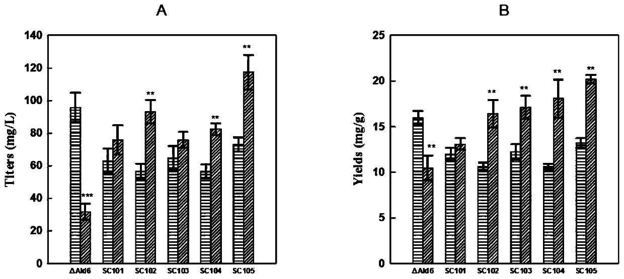 Xylose utilization yeast and application thereof