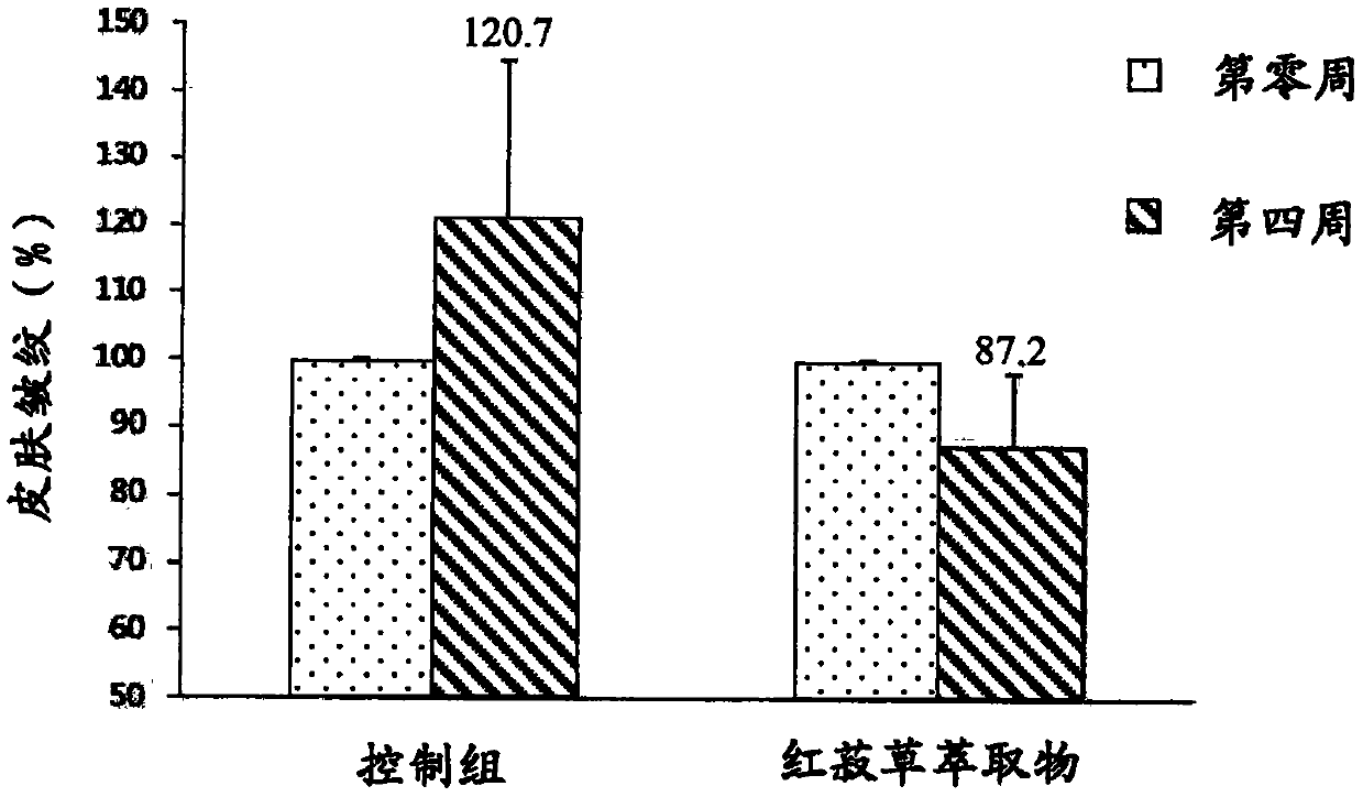 Use of red juniper grass extract for improving gene expression of hyaluronic acid synthase