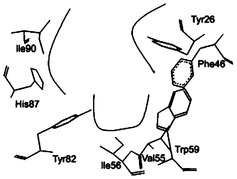 Drugcoated balloon controllable in drug metabolism and preparation method of drugcoated balloon