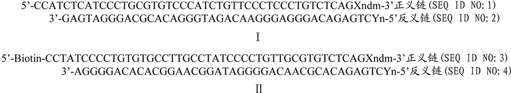 Splice and sequencing library construction method