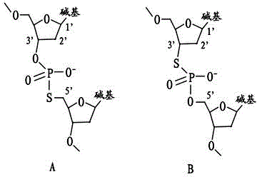 Splice and sequencing library construction method