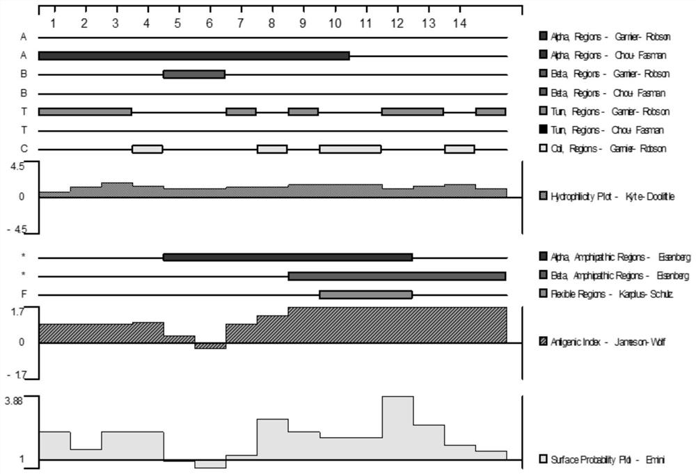 A cell penetrating peptide and transdermal interferon