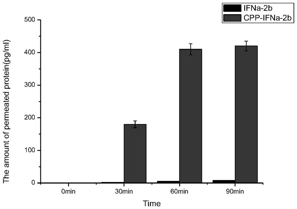 A cell penetrating peptide and transdermal interferon