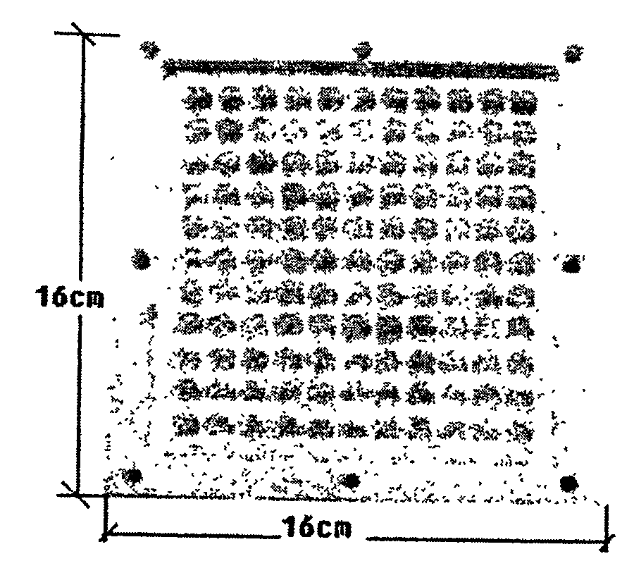 Light-catalyst high flux research