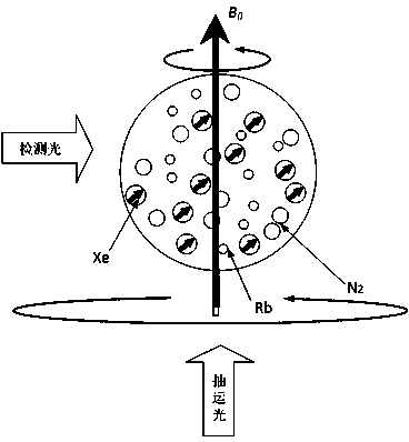 Coherent layout confinement atomic clock and nuclear magnetic resonance atomic gyroscope integrated system