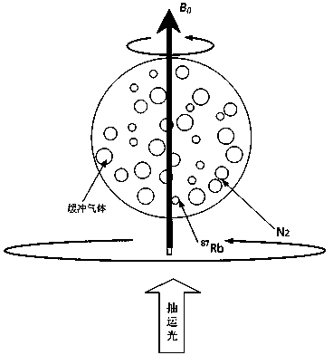 Coherent layout confinement atomic clock and nuclear magnetic resonance atomic gyroscope integrated system