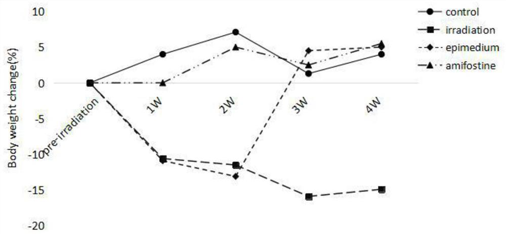 Application of epimedium extract in preparation of medicine for treating brain nerve injury and cognitive impairment after radiation