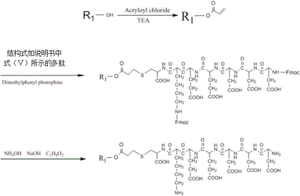 Polypeptide modified tannic acid and preparation method and application thereof