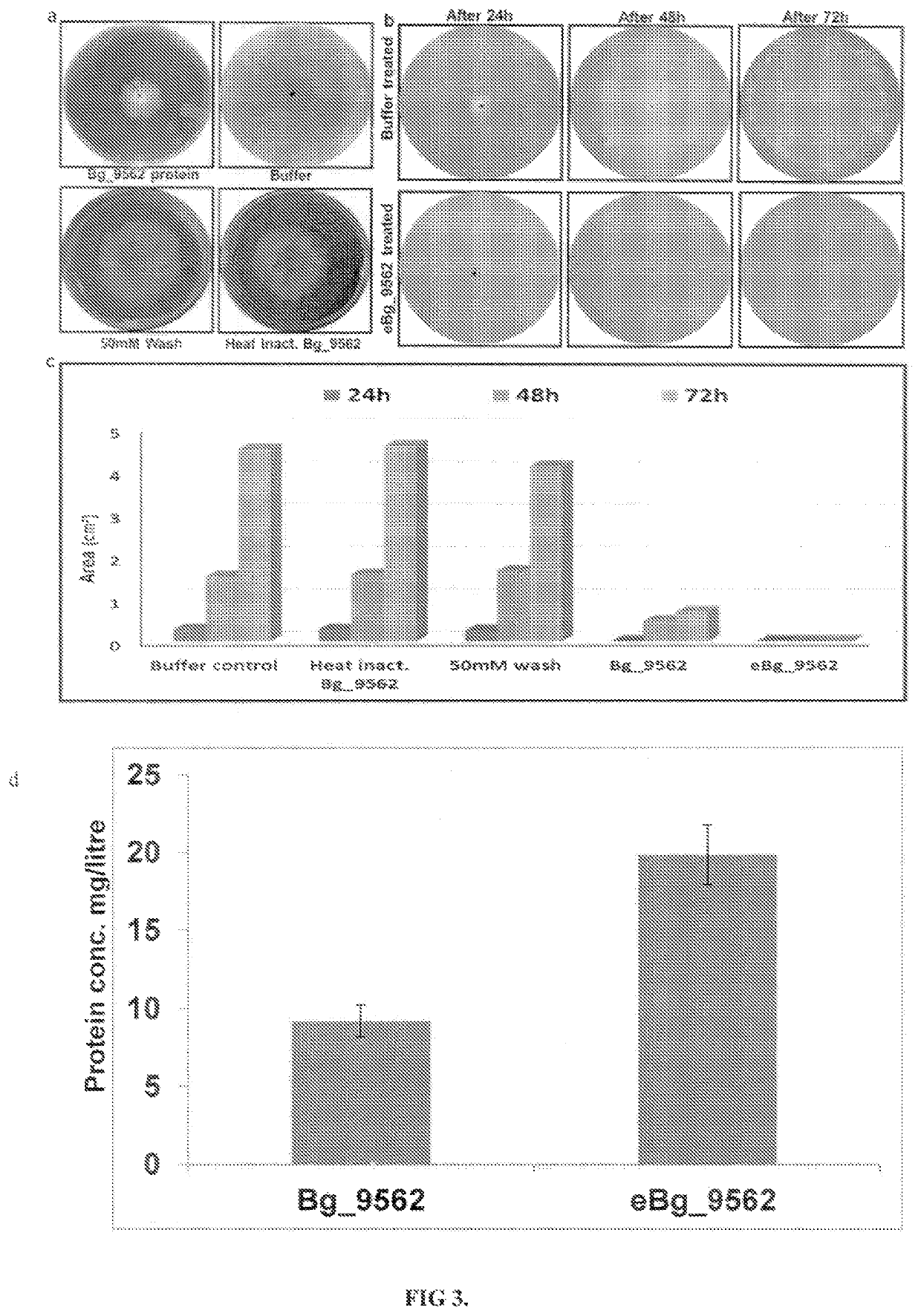 Protein against fungal pathogens