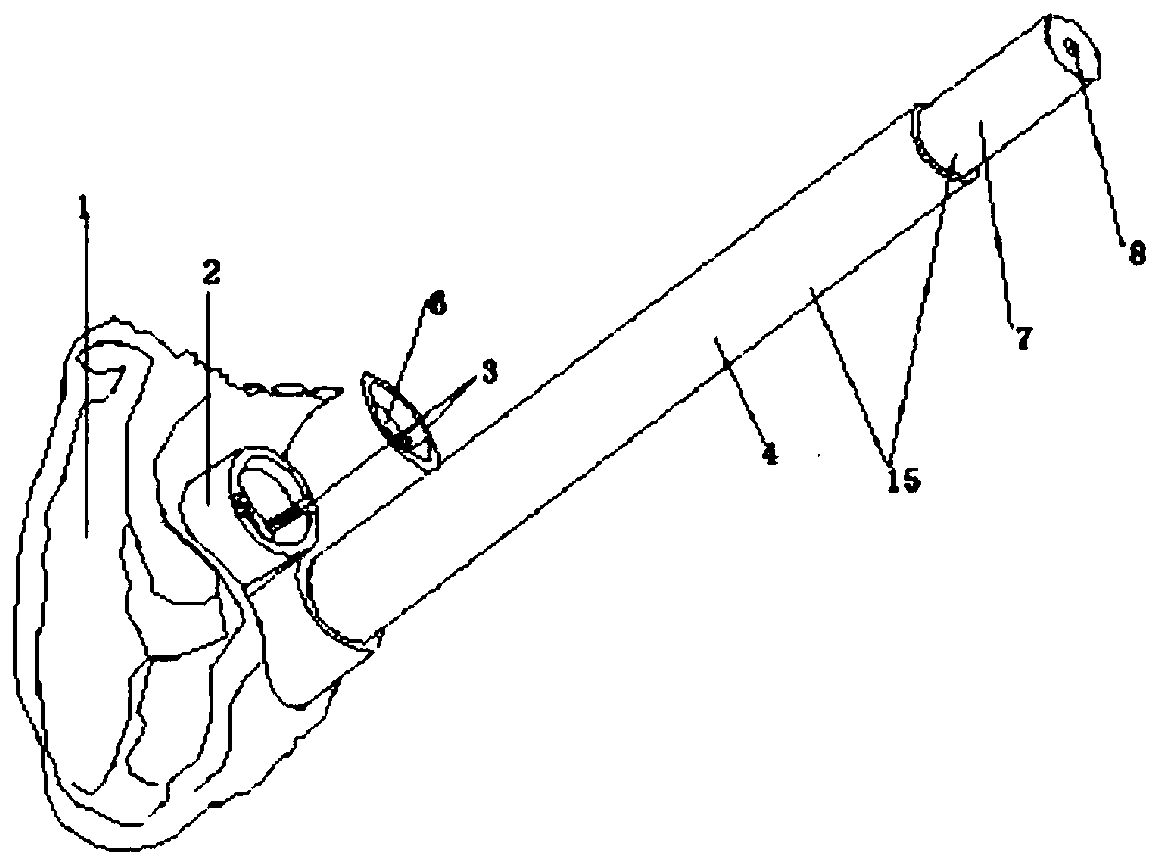 Combined individual sacroiliac joint screw navigation template and manufacturing method