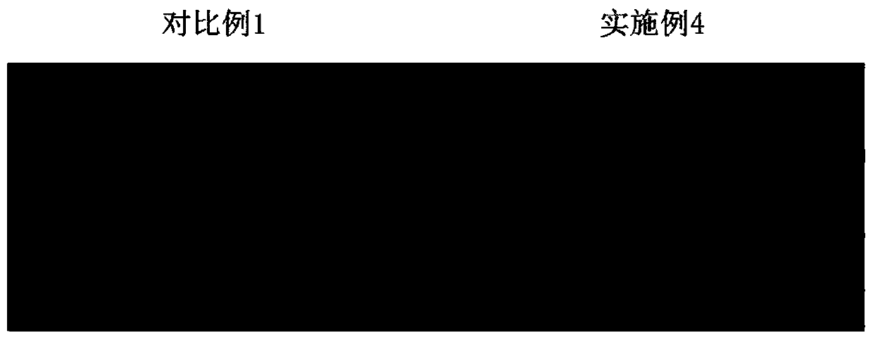 Recombinant vector, strain, and expression and purification method of Rhizoctonia solani effector protein