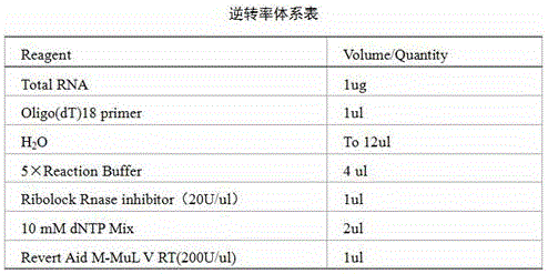 Irisin recombinant protein and synthetic method thereof