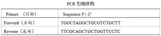 Irisin recombinant protein and synthetic method thereof