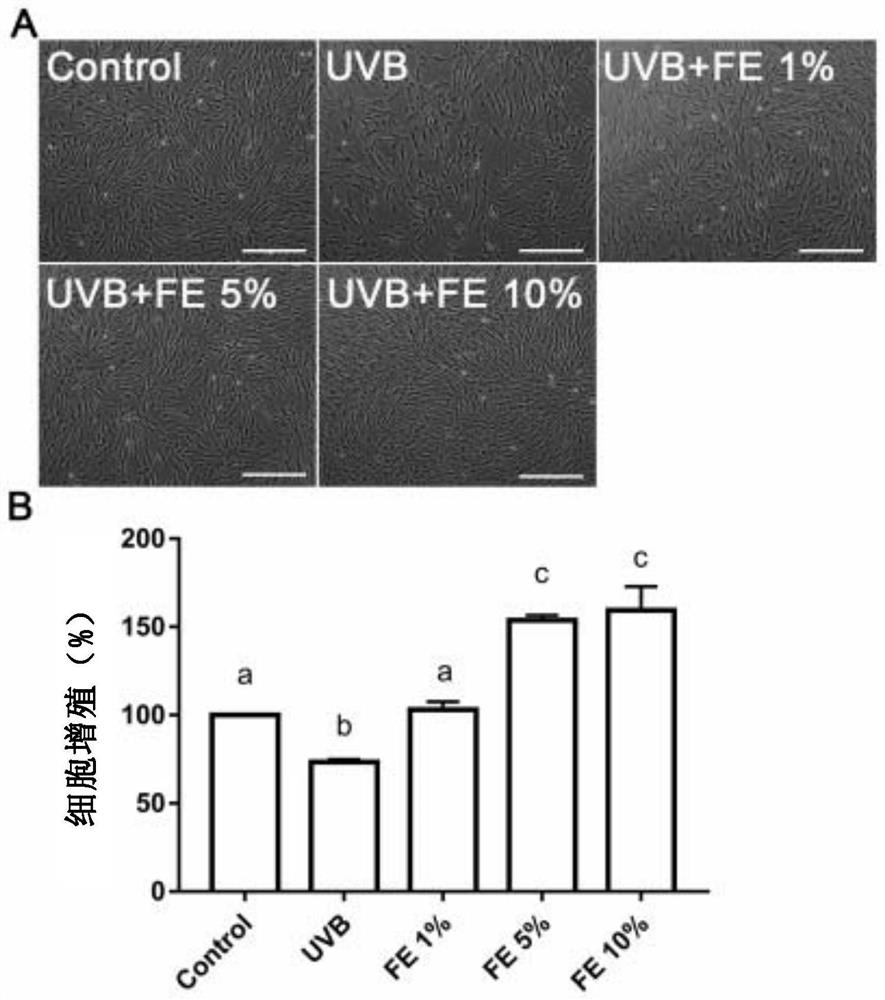 Fat extract without additive components as well as preparation method and application of fat extract