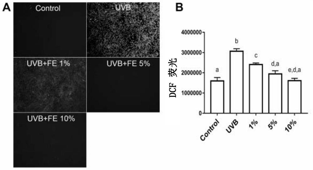 Fat extract without additive components as well as preparation method and application of fat extract