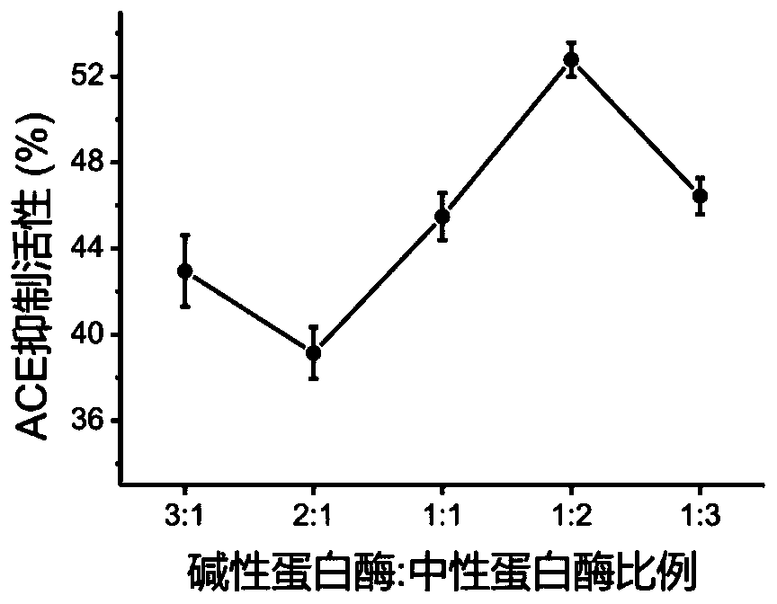 Method for preparing antihypertensive peptide by enzymolysis of walnut meal with compound protease