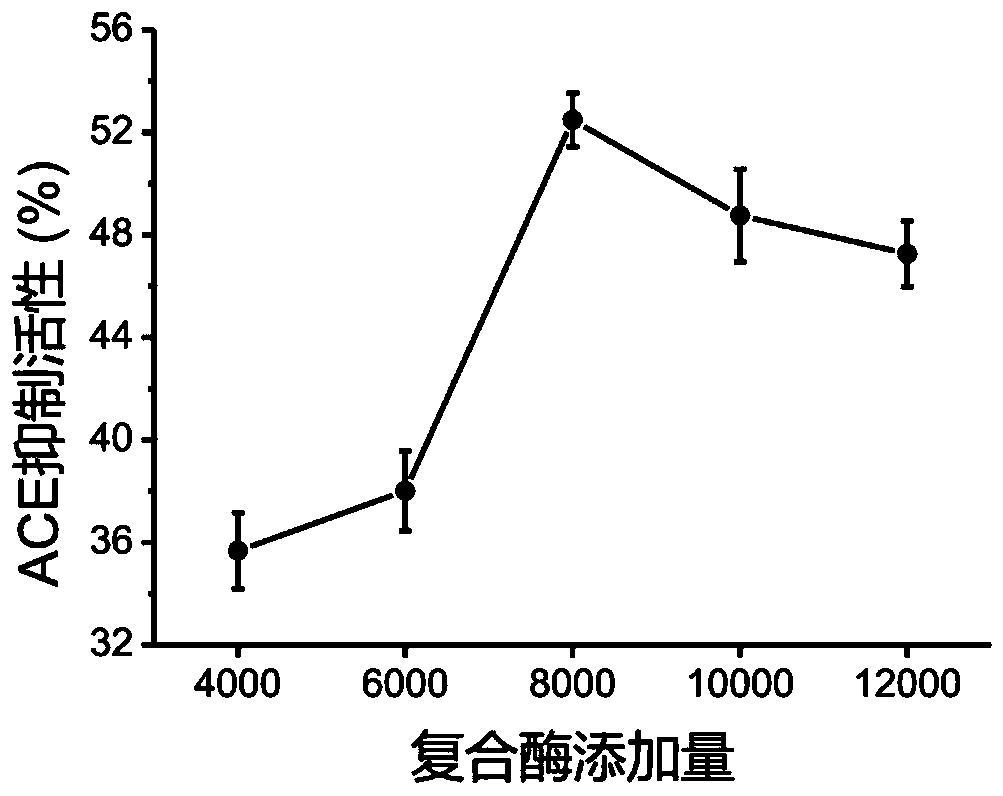 Method for preparing antihypertensive peptide by enzymolysis of walnut meal with compound protease