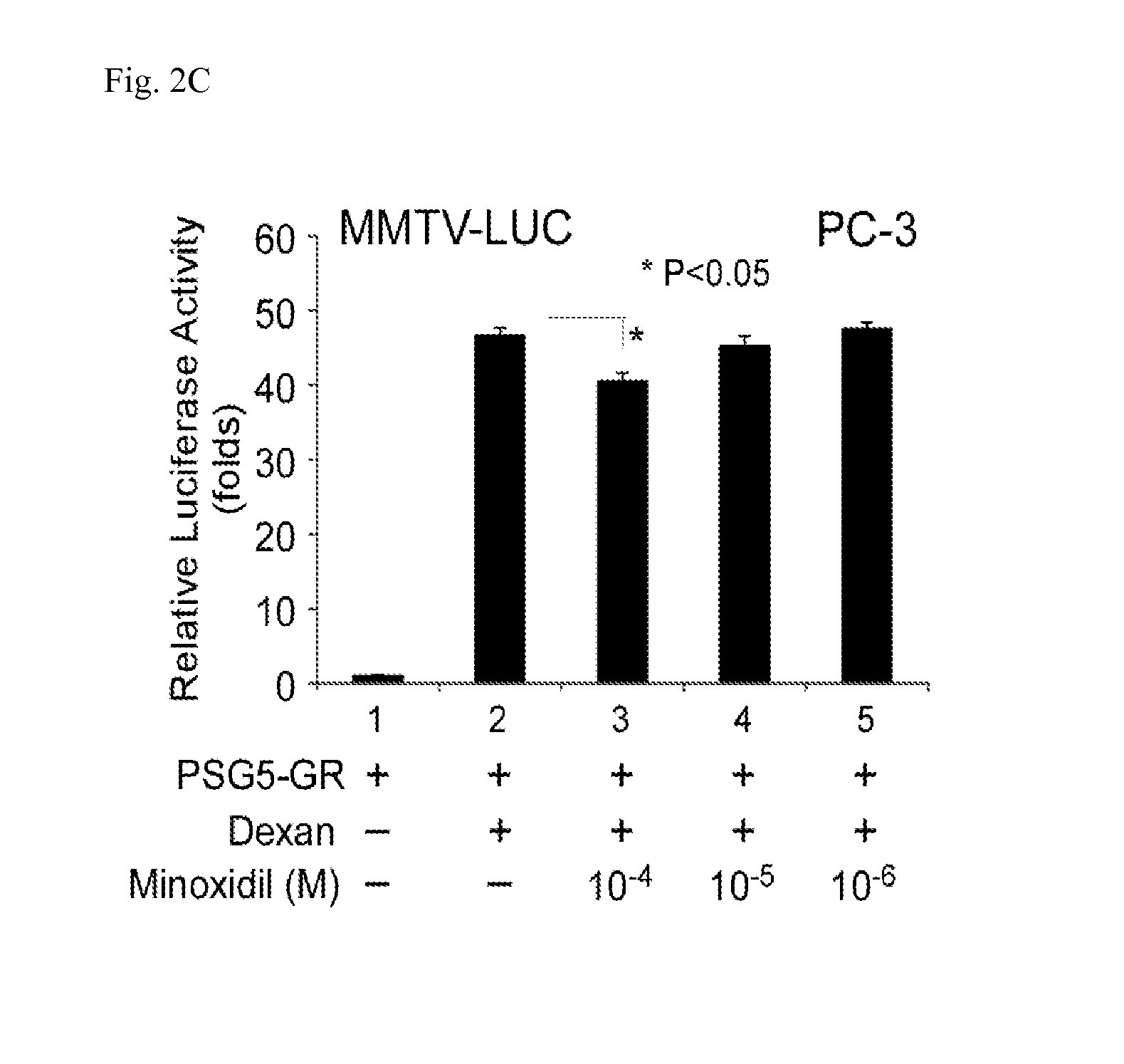 Minoxidil for suppressing androgen receptor function