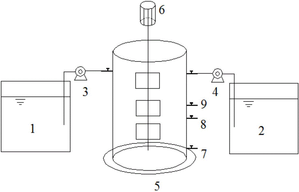 Method for treating municipal sewage and nitrate wastewater by immobilized anaerobic ammoxidation coupled short-range denitrification