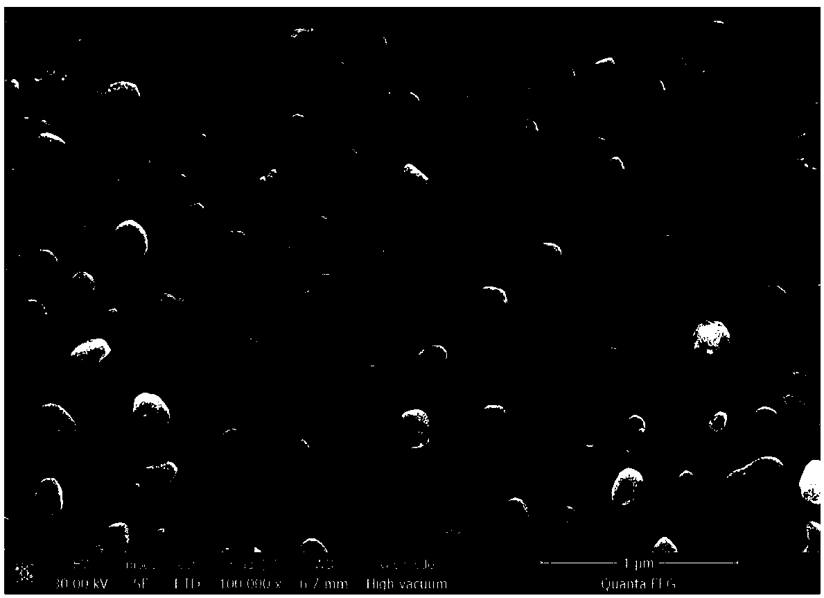 Method and system for tin crystal nucleus in-situ deposition through aluminum foil surface sol-gel method