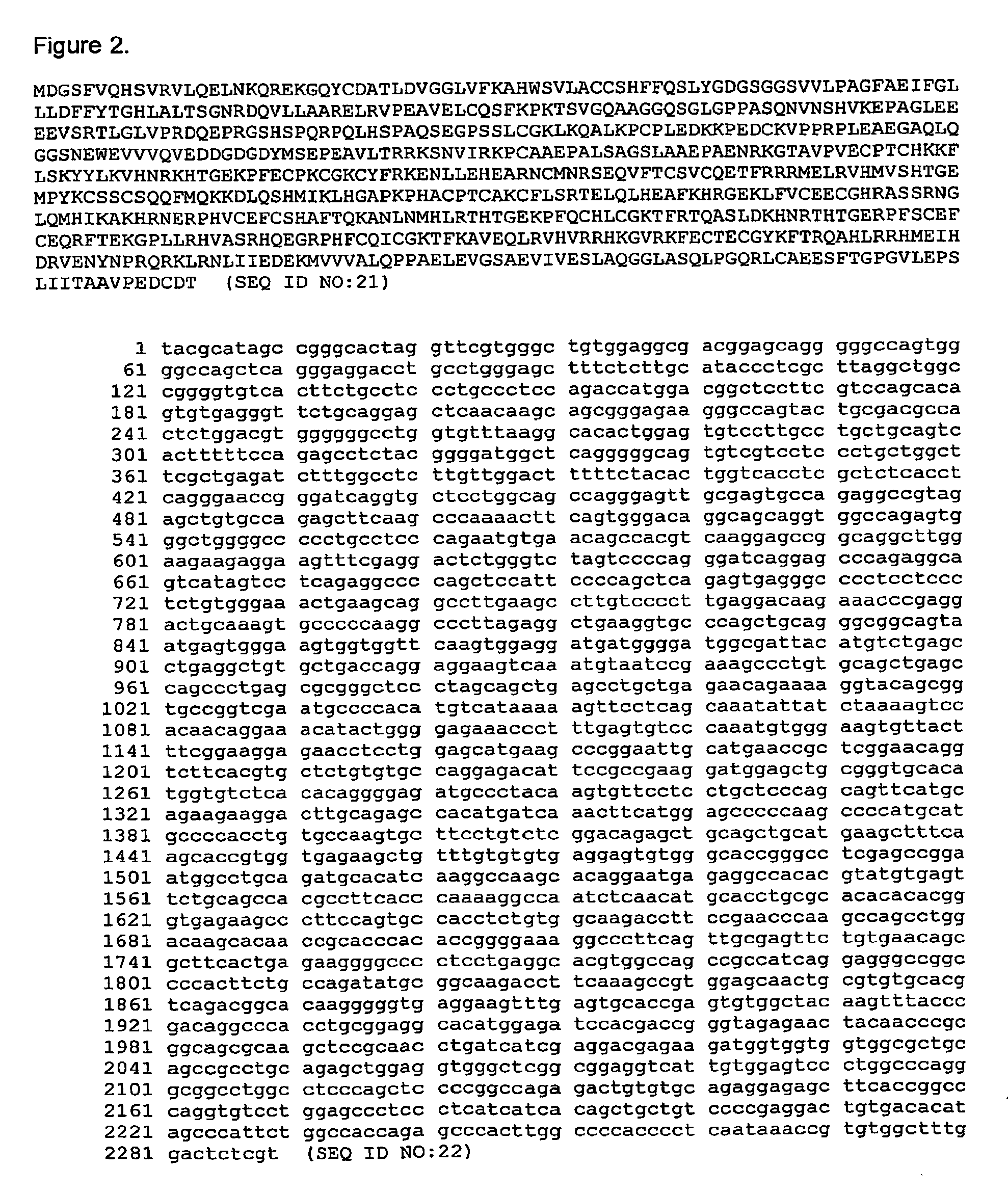 Telomerase expression repressor proteins and methods of using the same