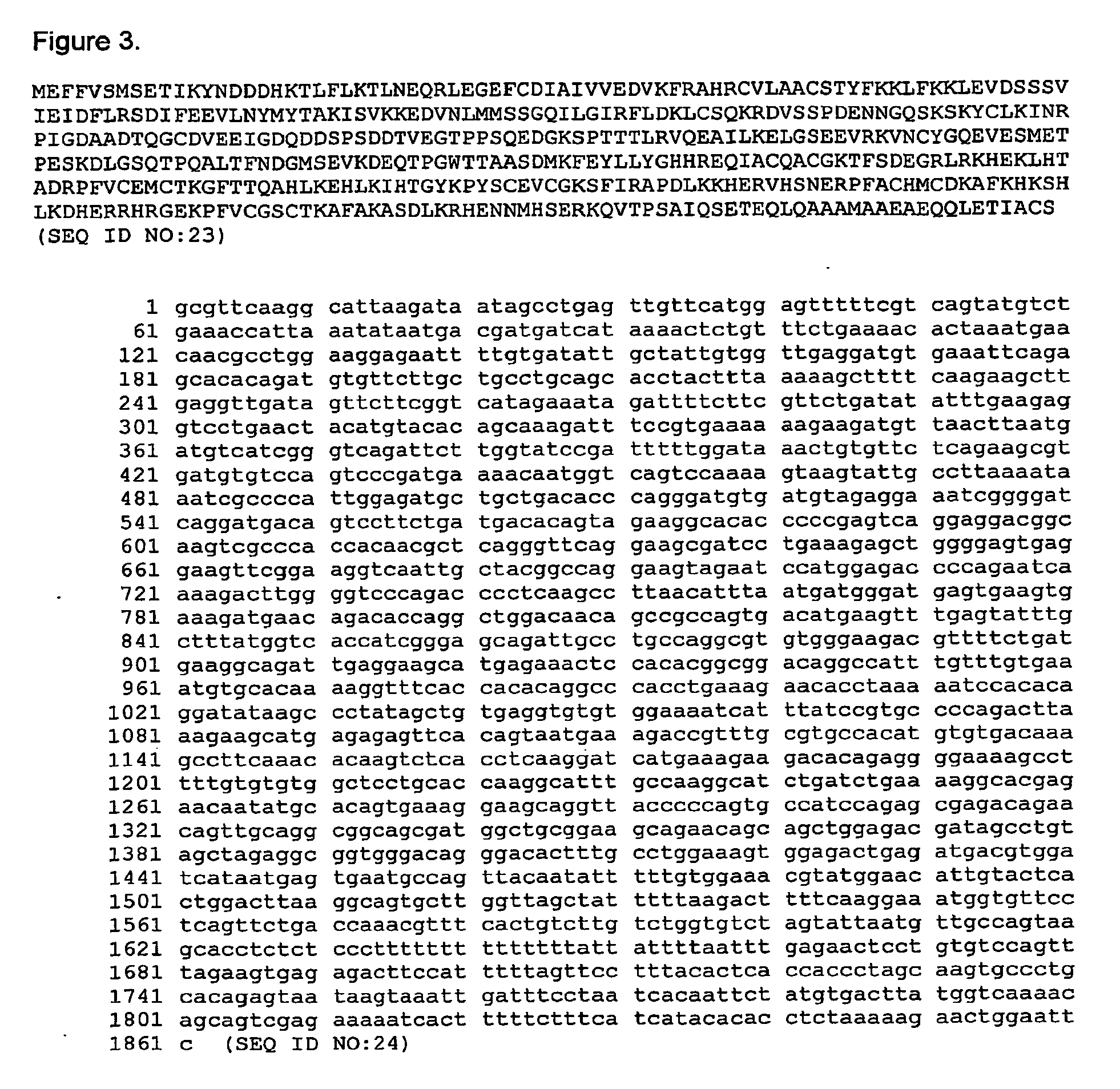 Telomerase expression repressor proteins and methods of using the same