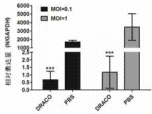 Novel pharmaceutical protein DRACO and applications thereof in prevention and treatment of porcine reproductive and respiratory syndrome