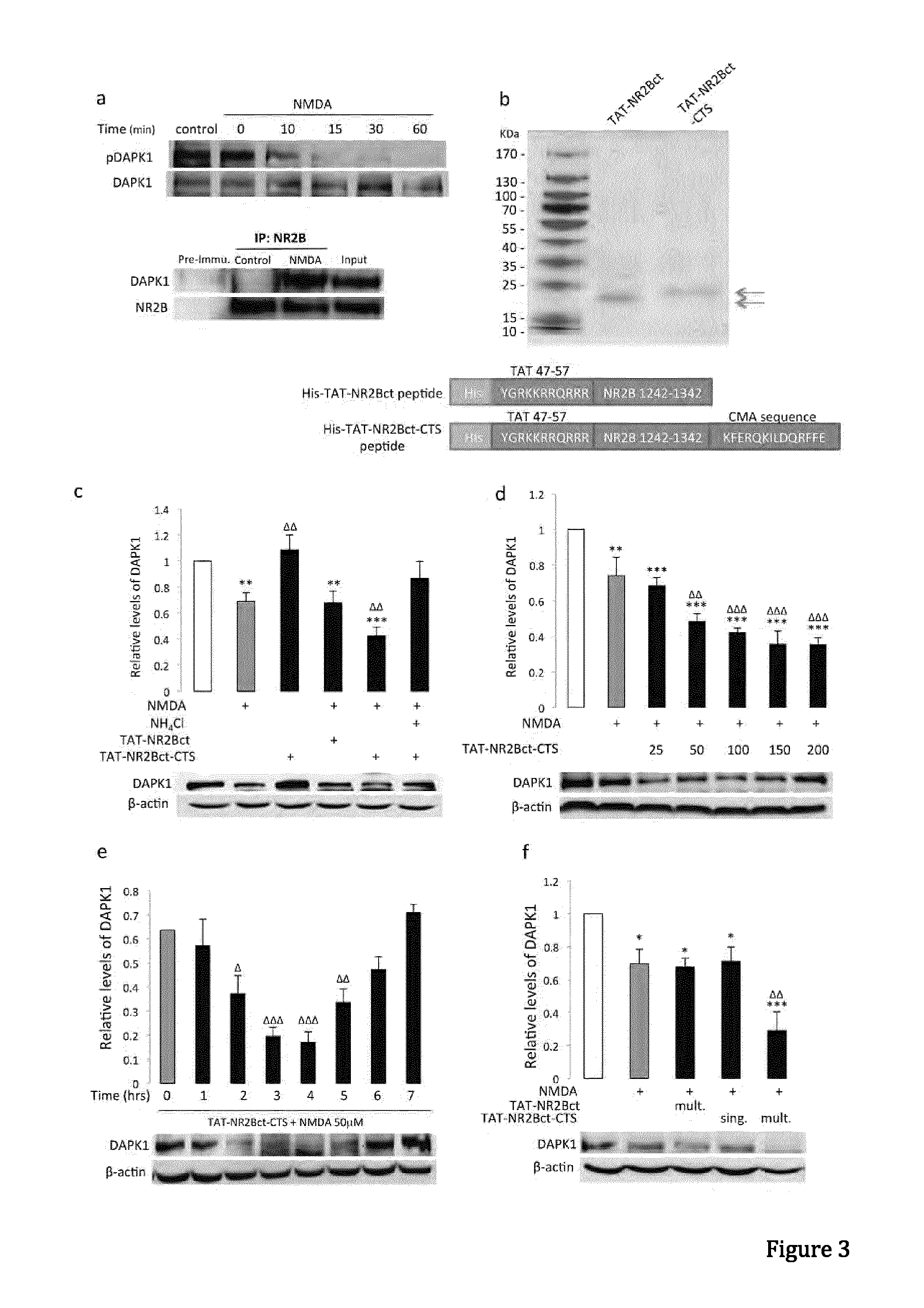 Peptide directed protein knockdown