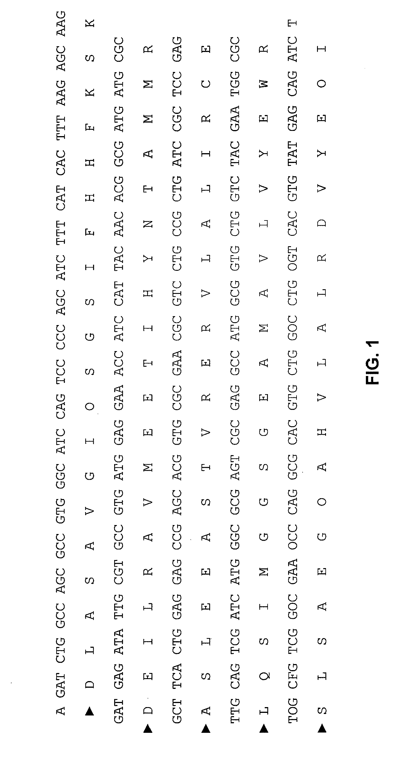 Methods of assessing crohn's disease patient phenotype by i2 serologic response