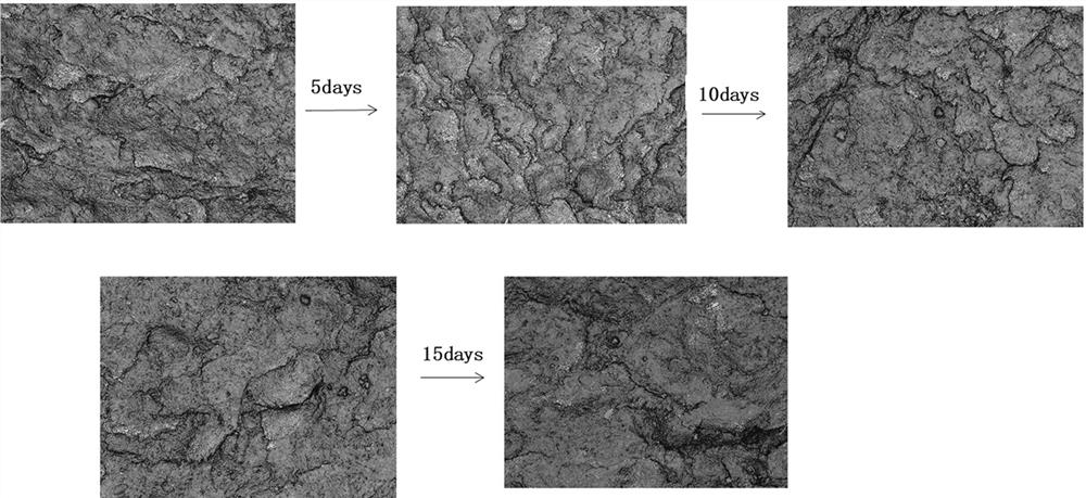 A kind of repairing environment-friendly armor oil and preparation method thereof