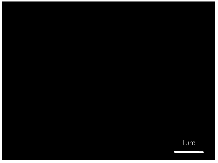 Resin permeated silicate composite material as well as preparation and application thereof