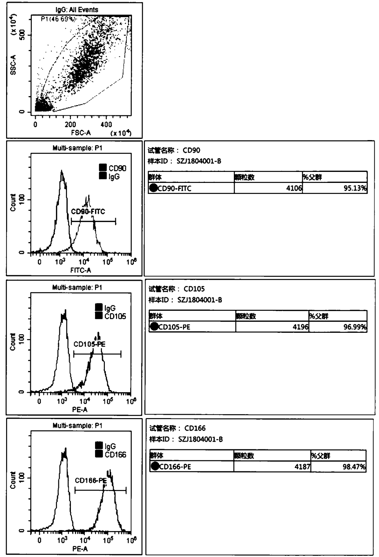 Efficient separation and amplification method for human amniotic mesenchymal stem cells