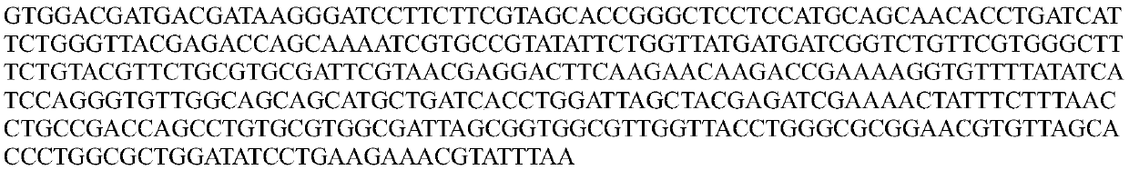 Helicobacter pylori bacteriophage endolysins and preparation method thereof